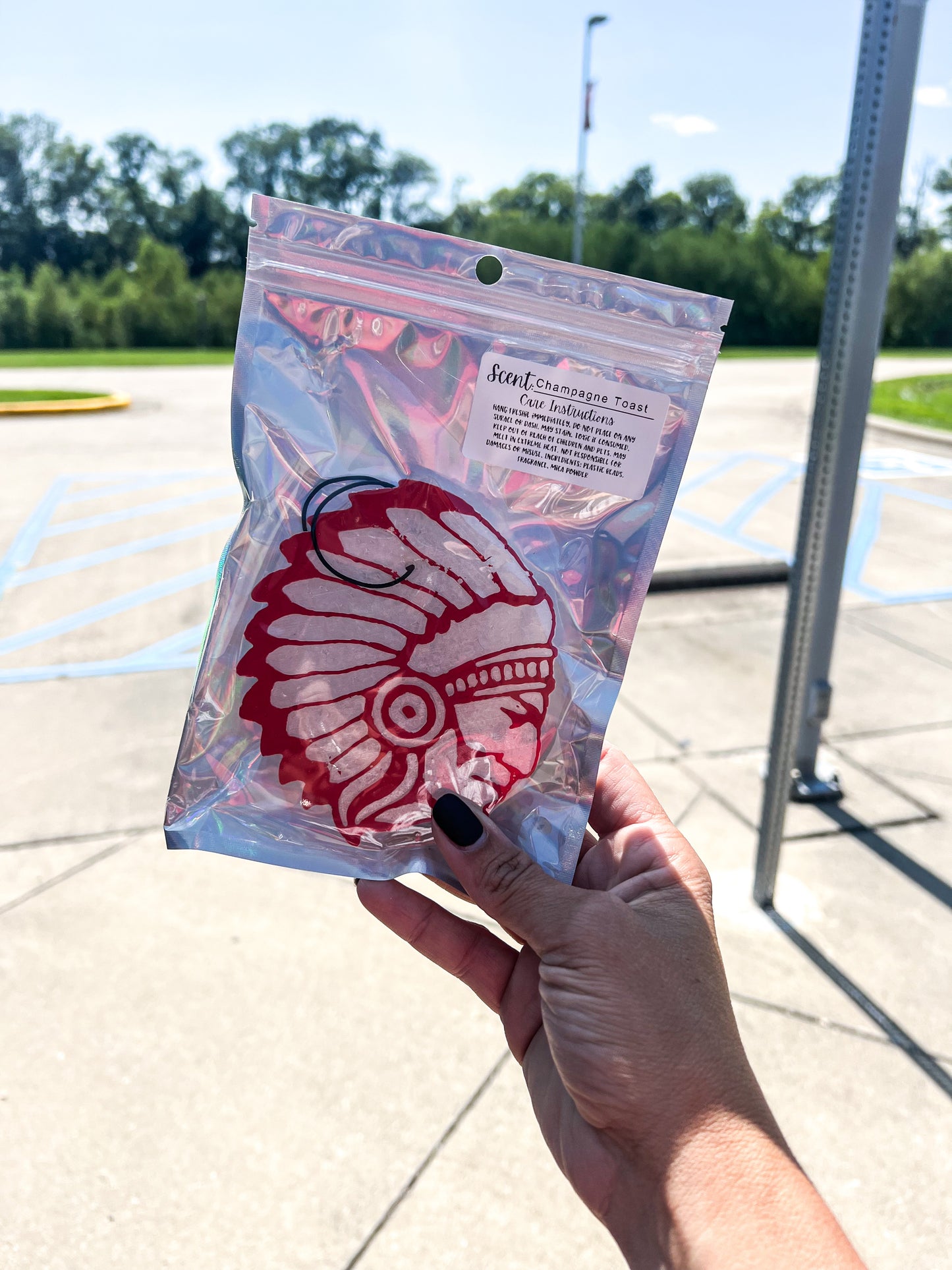School Spirit Air Freshies